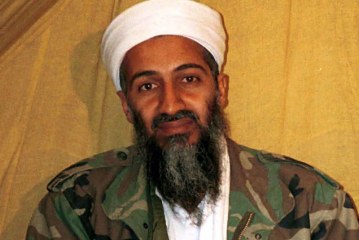 Librat që lexonte Bin Laden