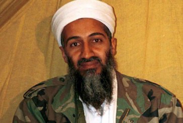 Librat që lexonte Bin Laden