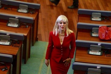 Blerta Deliu : Hedhja e gazit lotsjellës kundër parimeve demokratike