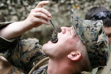 Prova e mbijetesës e marinsave amerikanë; si shqyhet me dhëmbë gjarpri