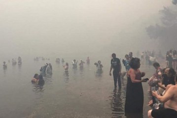Shpëtoi njerëzit gjatë apokalipsit në Greqi, Tsipras i jep nështetësinë emigrantit shqiptar