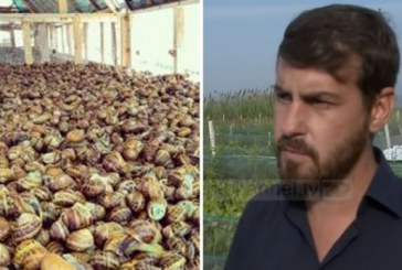 Psikologu shqiptar që kultivon kërmij: I shes 4-5 euro kilogramin
