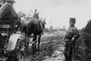Momçillo Gavriç: Historia e pabesueshme e ushtarit më të vogël në Luftën e Parë Botërore