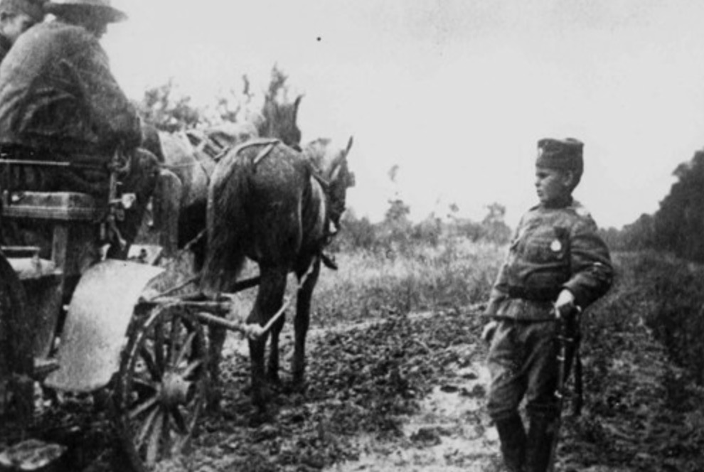 Momçillo Gavriç: Historia e pabesueshme e ushtarit më të vogël në Luftën e Parë Botërore