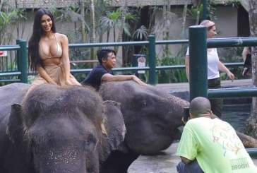 Kim Kardashian me bikini sipër elefantit (Foto)