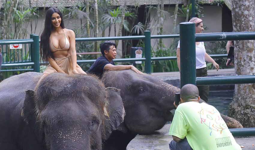 Kim Kardashian me bikini sipër elefantit (Foto)