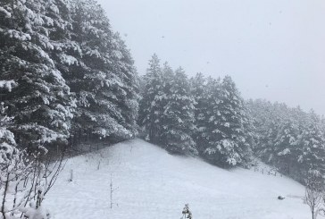 Mësoni se kur priten reshjet intensive të borës në Kosovë