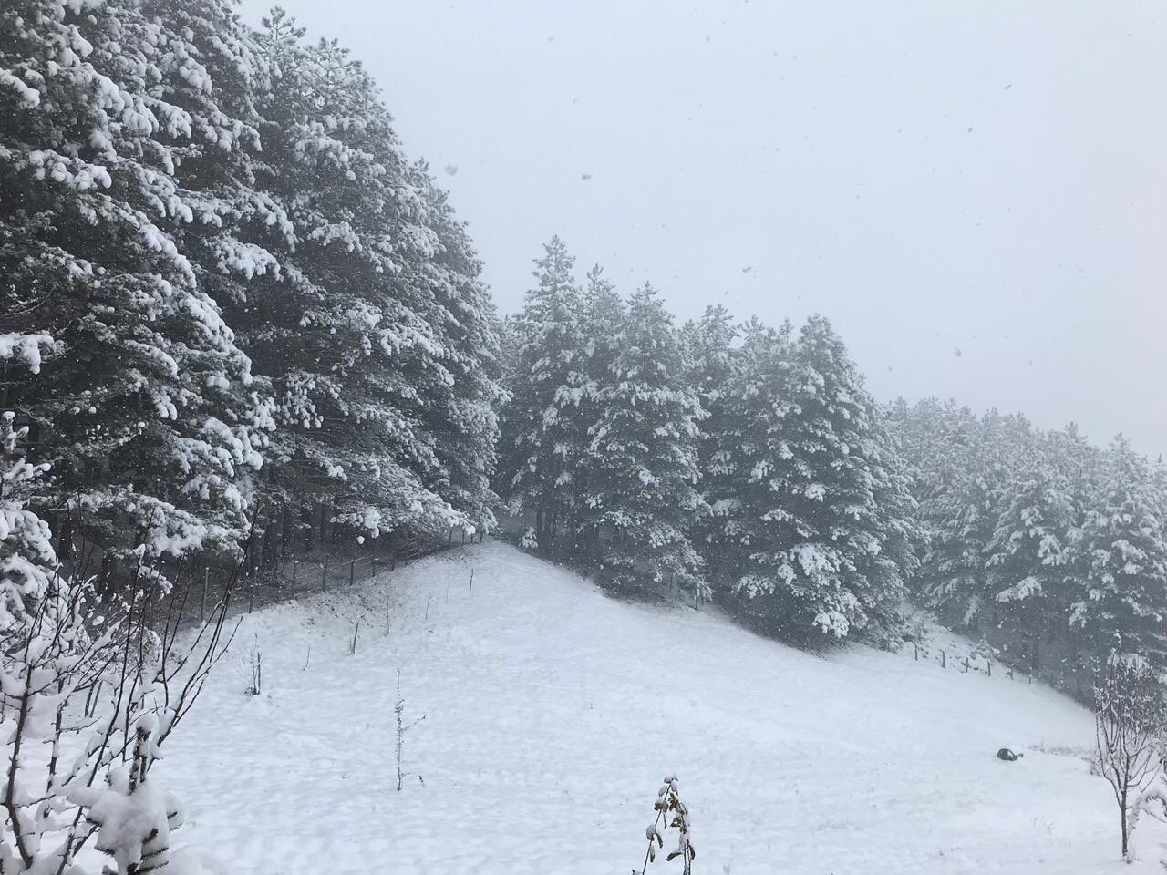 Mësoni se kur priten reshjet intensive të borës në Kosovë