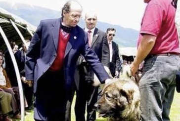 Blerta Kllokoqi-Rugova: Presidenti Rugova qenin e sharrit e quante “Qeni Ilir Shqiptar”