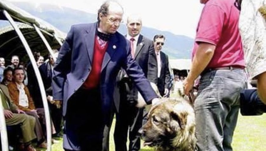 Blerta Kllokoqi-Rugova: Presidenti Rugova qenin e sharrit e quante “Qeni Ilir Shqiptar”