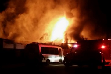 Merr flakë mishtorja në Prishtinë (VIDEO)