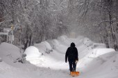 Rikthehen bora dhe acari në Kosovë