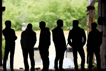 Çfarë na tregojnë bandat e gangsterëve, për botën ku jetojmë