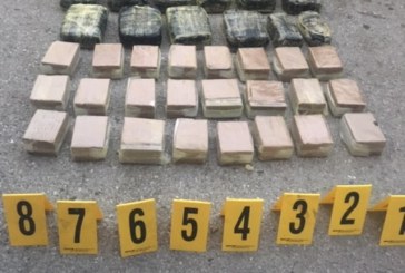 Kapen rreth 55 kilogramë marihuanë në Vërmicë (Foto)