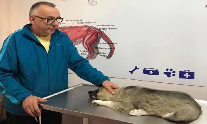 Enver Hasani kërkon ndihmë nga ndokush që udhëton për Kanada, ta dërgoj një qen për shërim atje