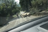 Ky do të jetë moti në fundjavë në Kosovë