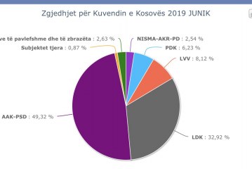 Ky është rezultati i zgjedhjeve në Junik