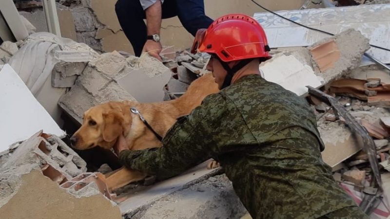 Heroi’ i Ushtrisë së Kosovës: Qeni i trajnuar shpëton 3 persona, në mesin e tyre një 16 vjeçar