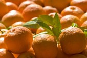 Koha e mandarinave: Këto janë problemet shëndetësore me të cilat mund të përballeni