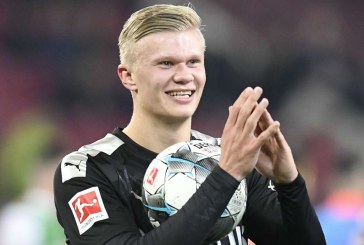 Trajneri i Koln tregon se si mund ta ndalë Erling Haalandin