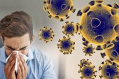 Sipas shkencëtarëve të Harvardit, ky është trajtimi i vetëm për koronavirus