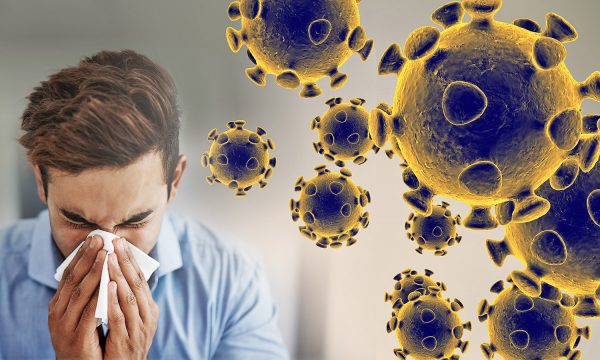 Sipas shkencëtarëve të Harvardit, ky është trajtimi i vetëm për koronavirus