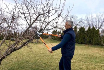 Thaçi flet për foton e famshme: Unë në politikë nuk krasiti, më shumë mbjelli