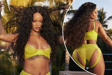 Rihanna e hupë kontrollen, pozon shumë “Hot”