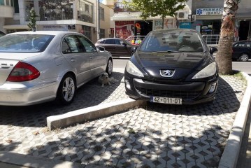 Vetura zyrtare nga Kosova në Durrës
