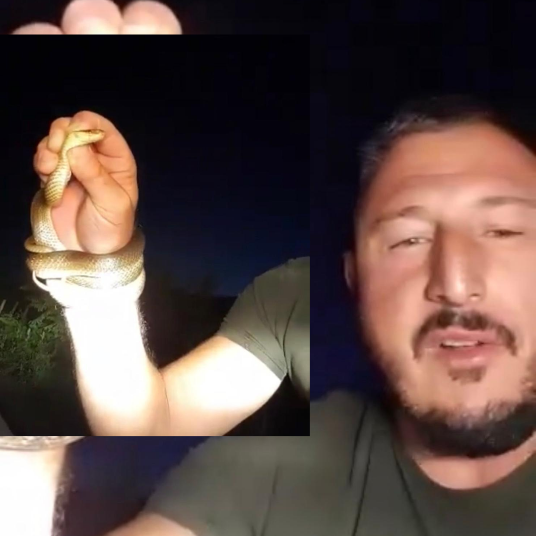 Shikoni si lufton me gjarpër i riu nga Deçani