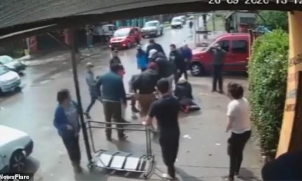 Ecte i lirë në rrugë, pitbulli sulmon 7-vjeçaren