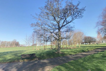 Katër të mitur përdhunojnë një 21-vjeçare në park