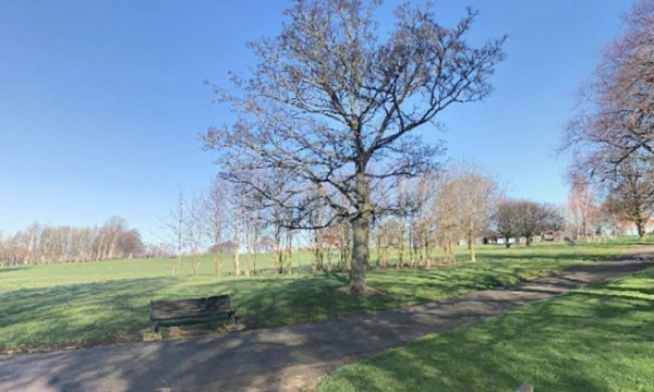 Katër të mitur përdhunojnë një 21-vjeçare në park