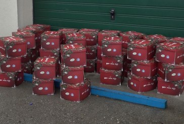 Devolli Group gëzon rreth 400 fëmijë me dhurata