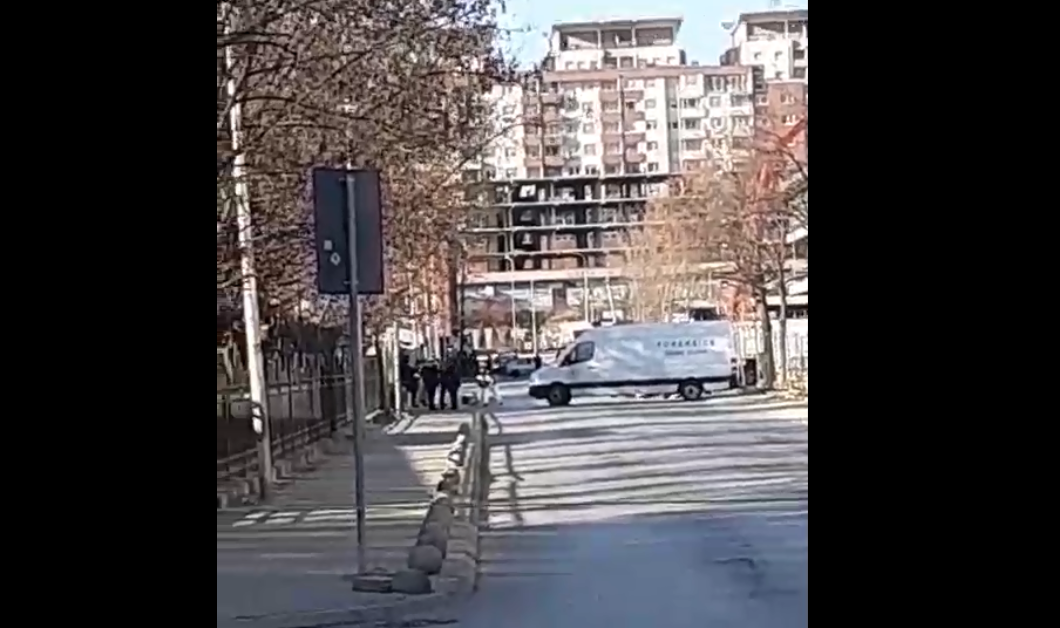 Policia: Vrasja ndodhi brenda veturës ku ishin i dyshuari dhe viktima