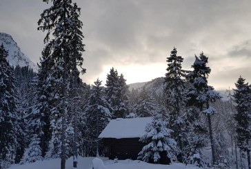 Acari siberik përfshinë Kosovën këtë fundjavë
