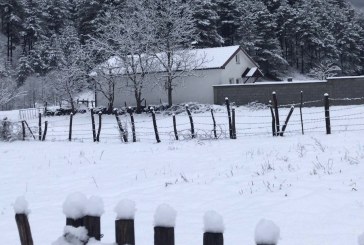 Mot i ftohtë e me reshje bore edhe sot në Kosovë