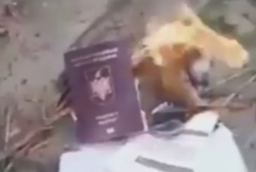 Mori nënshtetësinë italiane, shqiptari i vë flakën pasaportës shqiptare