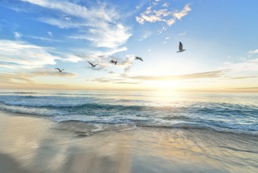 Sekreti i jetëgjatësisë qëndron në një jetë me pamje “blu”