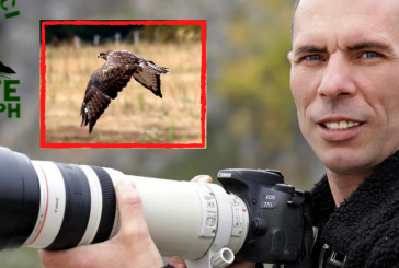 Njihuni me Blerim Gjocin, fotografin i cili sjell botën e kafshëve përmes fotografive