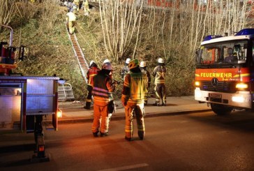 Dy trena përplasen mes vete në Gjermani, një i vdekur dhe dhjetëra të plagosur