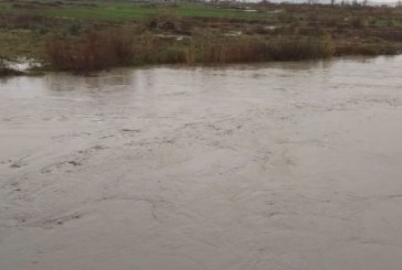 Doli për t’i dërguar lopët në livadh, si dyshohet që ra 4 vjeçari në kanalin e Ibër-Lepencit