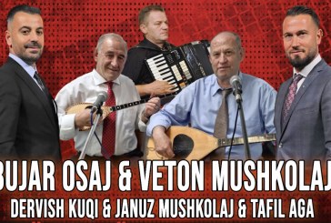 Vikend i nxehtë: Tigrat shkojn te tigri