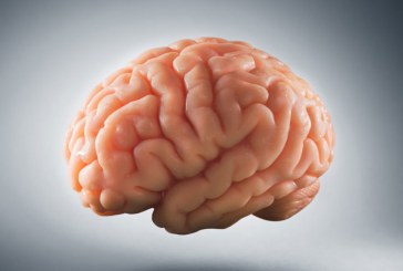 Sipas një studimi, valët e trurit mund të parashikojnë dëmtimin kognitiv të Parkinsonit