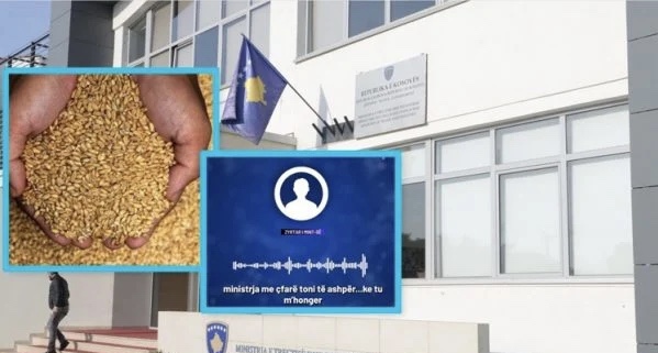 Nacionale publikon aferën gruri, ku mungon grurë në vlerë 6 milionë euro