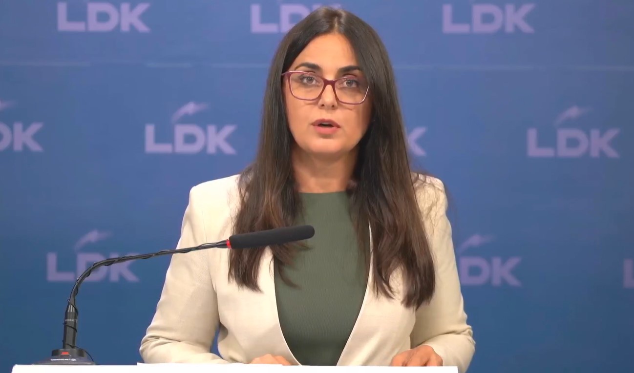 “LDK-ja është serioze”, Lushaku: Na mori shumë kohë mënyra e çoroditjes së qeverisë Kurti