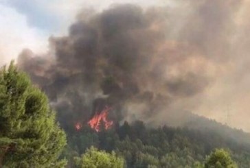 Temperaturat e larta, Policia e Pejës apelon për kujdes ndaj rrezikut të zjarreve